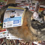 cat_coupons