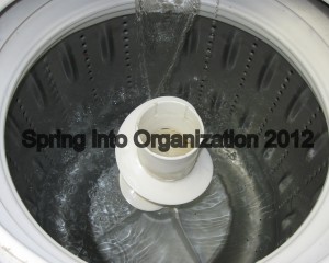 redberrydeal_springintoorganization2012
