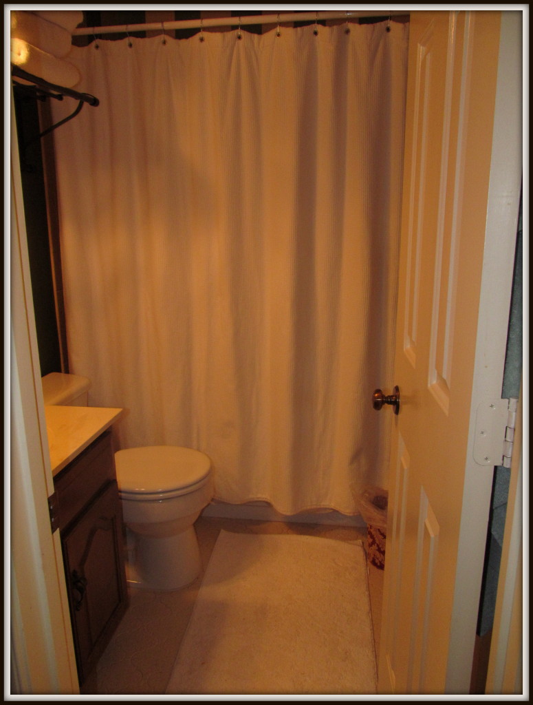 redberrydeals_guestbath_day2