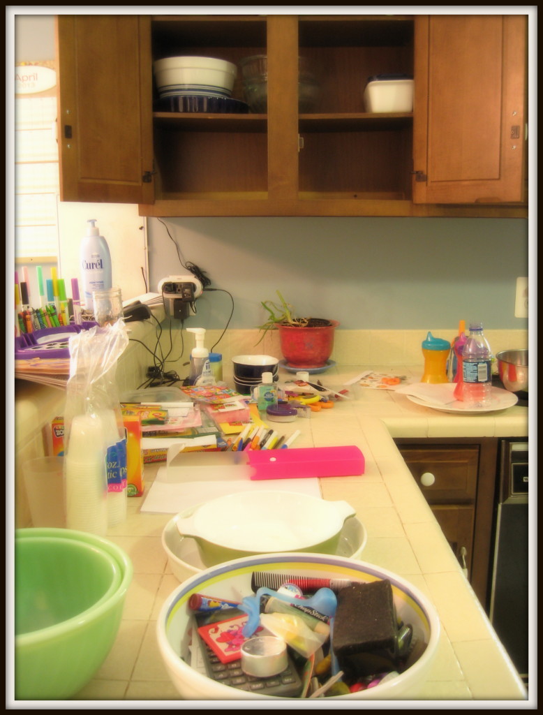 redberrydeals_kitchen_day17_5